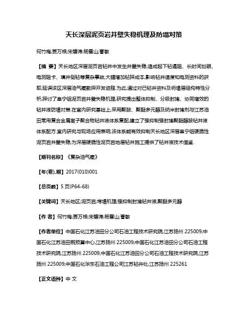 天长深层泥页岩井壁失稳机理及防塌对策
