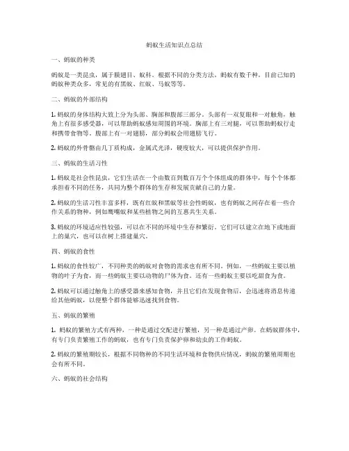 蚂蚁生活知识点总结