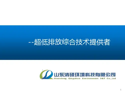 超低排放综合技术
