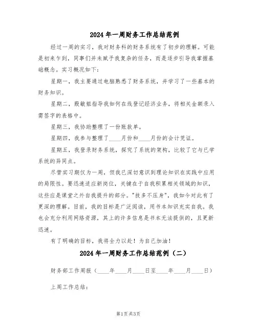 2024年一周财务工作总结范例（二篇）