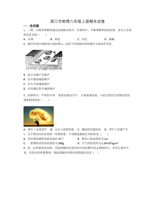 周口市物理八年级上册期末试卷
