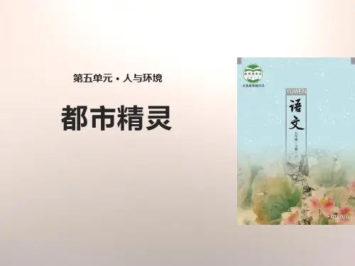 《都市精灵》精美版课件