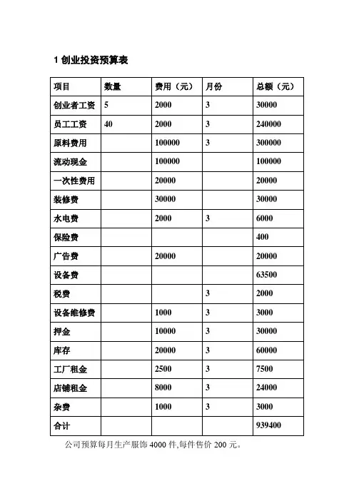 创业投资预算表