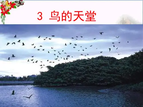 (精选)四年级语文上册第1单元3.鸟的天堂ppt课件2新人教版