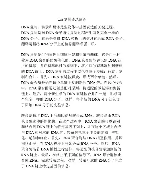 dna复制转录翻译