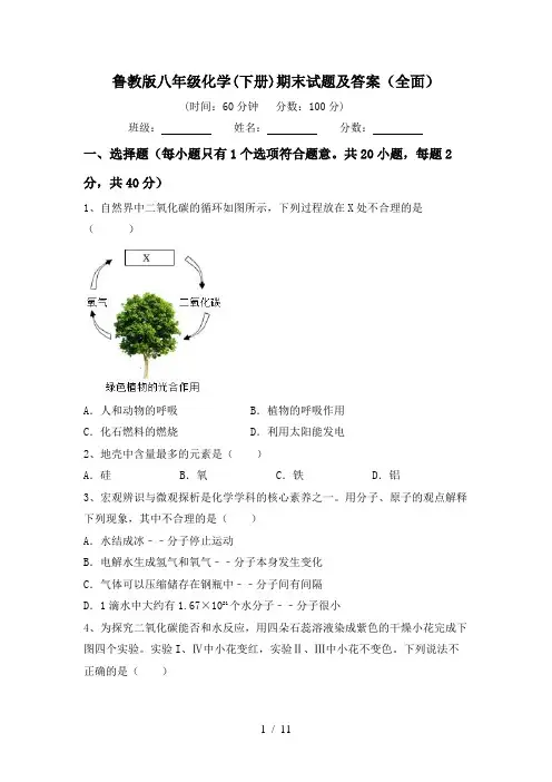 鲁教版八年级化学(下册)期末试题及答案(全面)