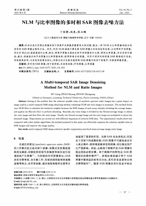 NLM与比率图像的多时相SAR图像去噪方法