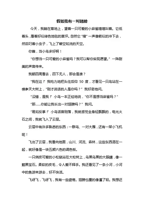 三年级作文：假如我有一对翅膀作文500字