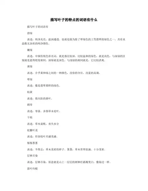 描写叶子的特点的词语有什么