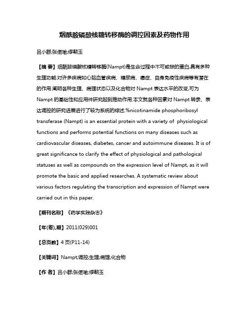 烟酰胺磷酸核糖转移酶的调控因素及药物作用
