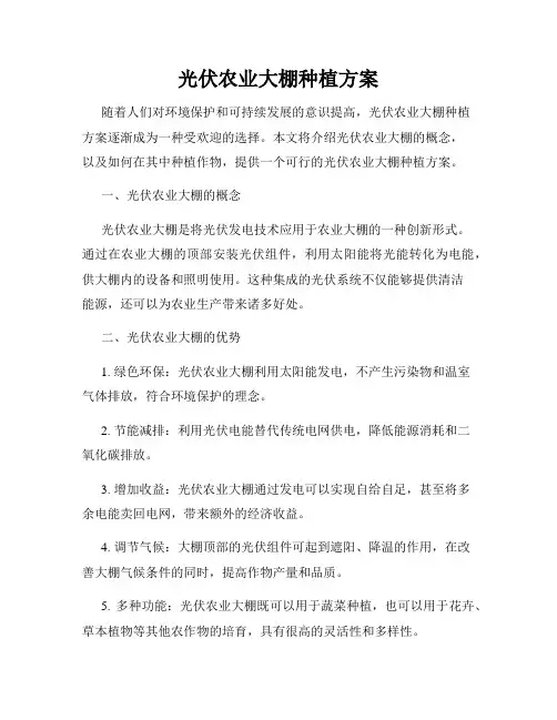 光伏农业大棚种植方案