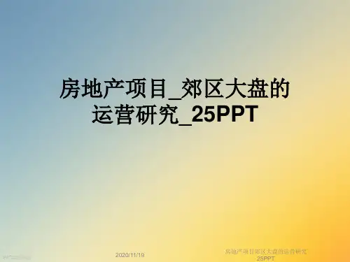 房地产项目郊区大盘的运营研究25PPT