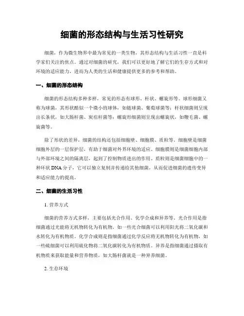 细菌的形态结构与生活习性研究