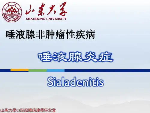 唾液腺非肿瘤性疾病