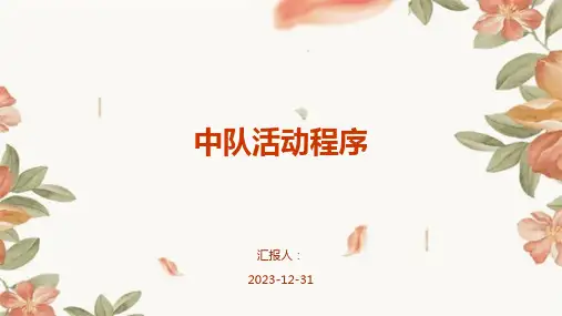 中队活动程序