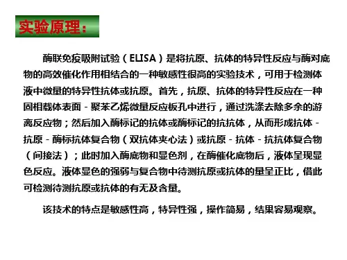 免疫学实验ELISA双抗夹心法课件