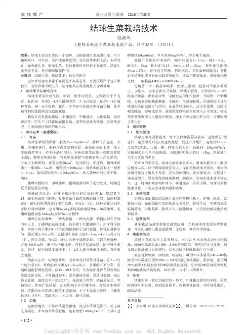 结球生菜栽培技术