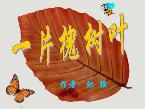 一片槐树叶课件