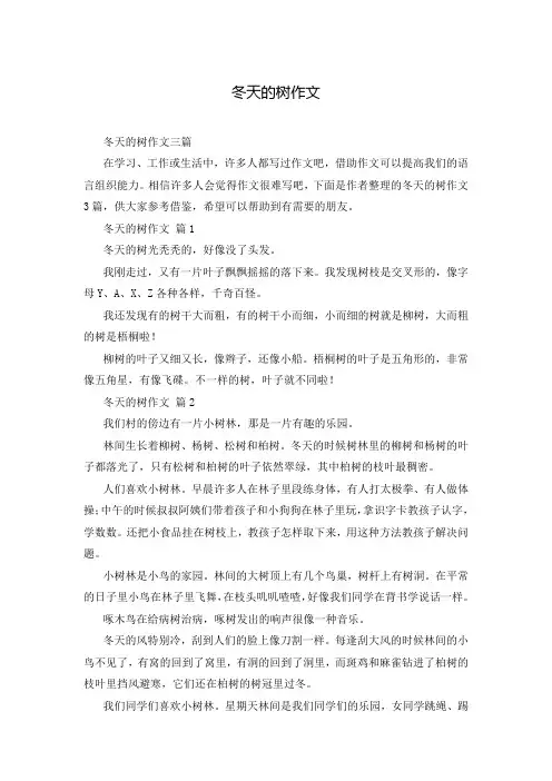 冬天的树作文