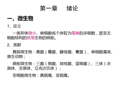 食品微生物学知识结构