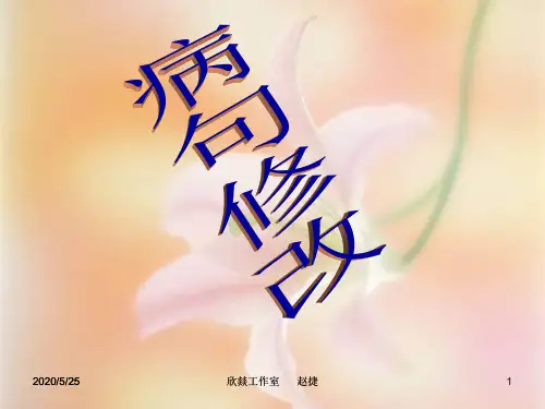 2020人教版 中考语文专项5 病句修改