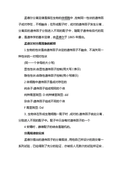 孟德尔分离定律