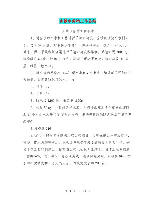 乡镇水务站工作总结【可编辑版】