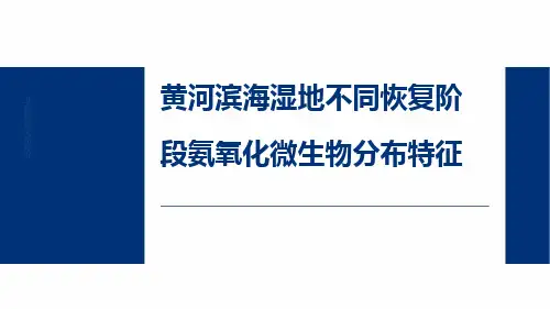 完整版黄河滨海湿地微生物分布特征