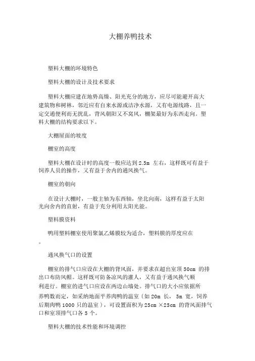 大棚养鸭技术_6988