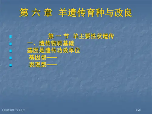 羊的遗传育种与专家讲座