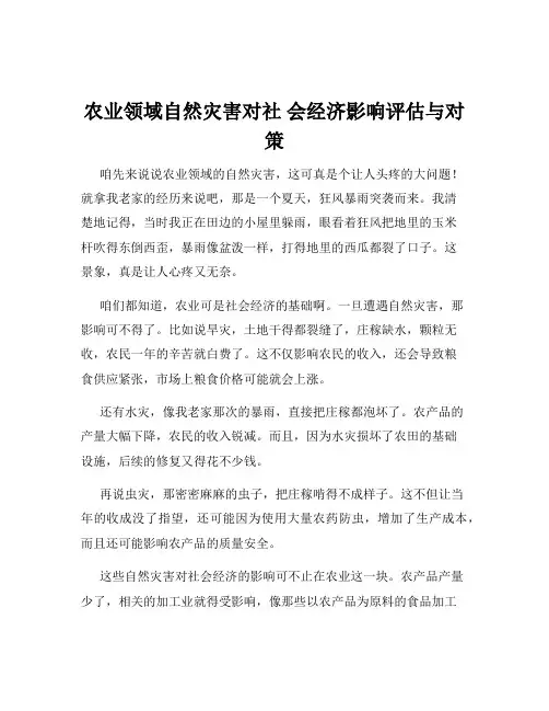 农业领域自然灾害对社 会经济影响评估与对策