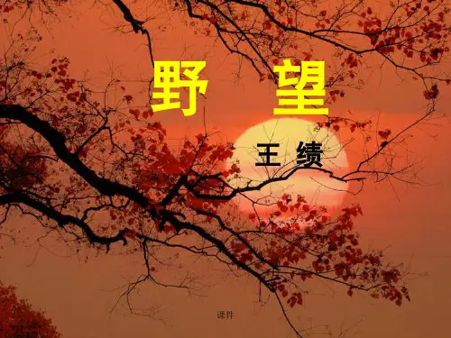 野望(优秀课件)完整版.ppt