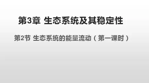 生态系统的能量流动(第一课时)高二生物课件(人教版2019选择性必修2)