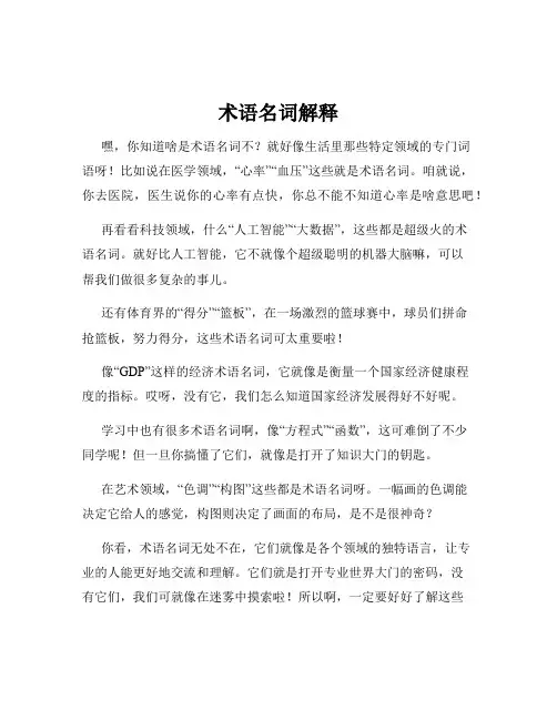 术语名词解释