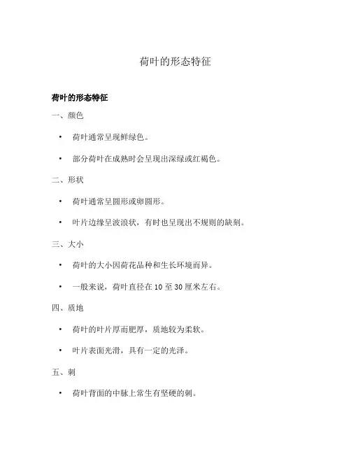 荷叶的形态特征