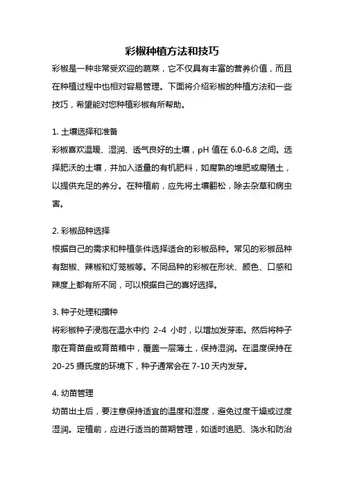 彩椒种植方法和技巧