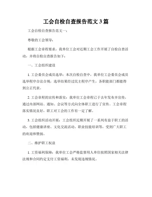 工会自检自查报告范文3篇