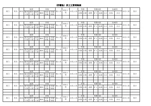 工资条模板