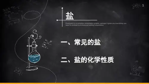 九年级化学人教版下册第十一单元盐和化肥复习课件