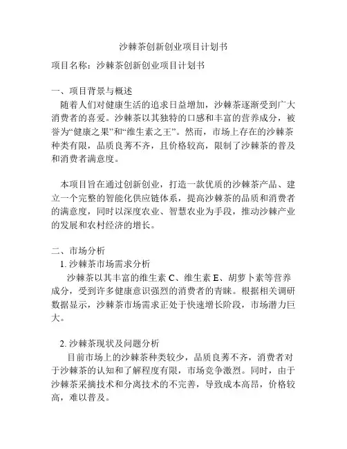 沙棘茶创新创业项目计划书