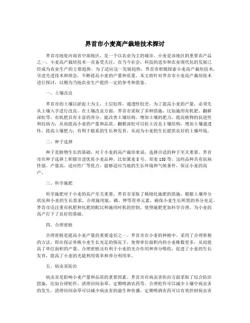 界首市小麦高产栽培技术探讨