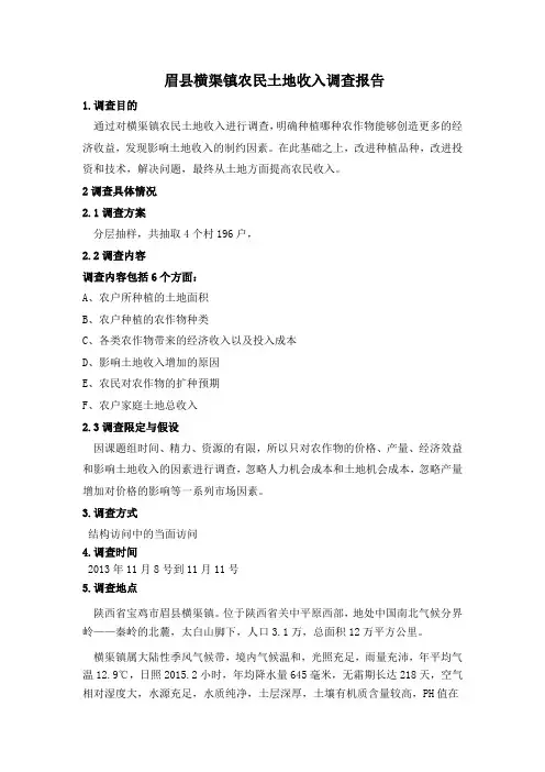 眉县农民收入调查报告