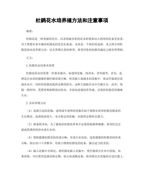 杜鹃花水培养殖方法和注意事项