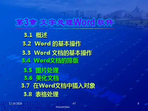 第3章文字处理软件Word1028(10高职)精品PPT课件