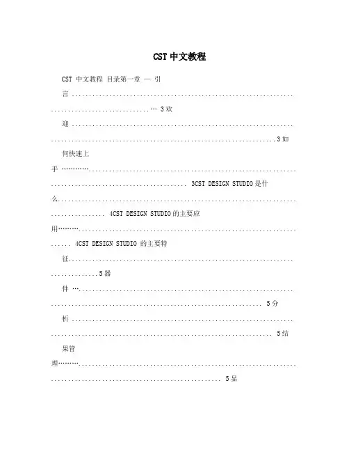 CST中文教程