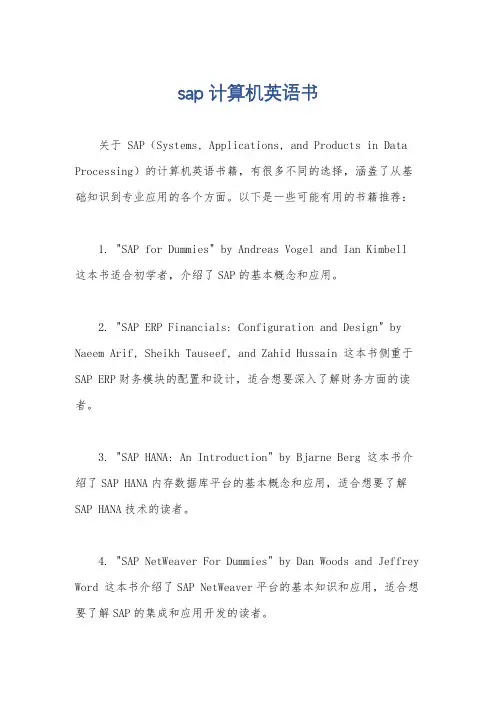 sap计算机英语书