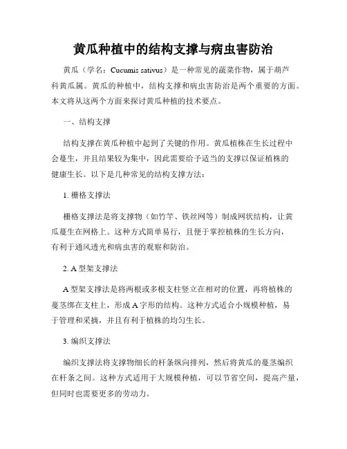 黄瓜种植中的结构支撑与病虫害防治