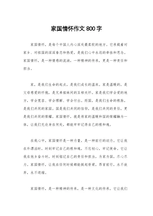 家国情怀作文800字