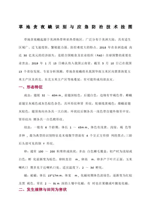 草地贪夜蛾识别与应急防治技术挂图
