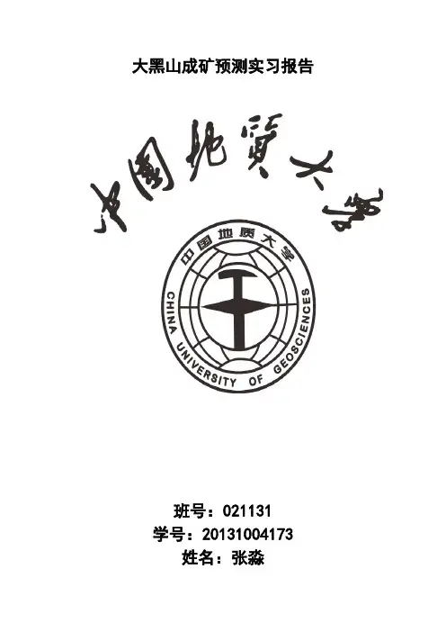大黑山成矿预测实习报告